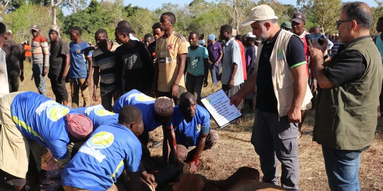 2025 Vacip Kurbanı Projesi