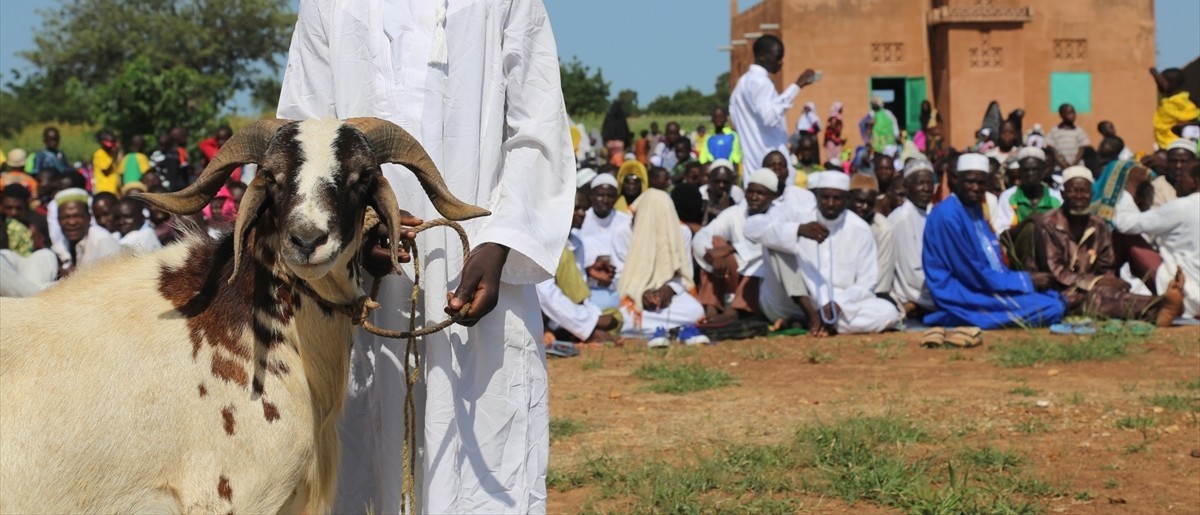 Akika Kurban Bağışı