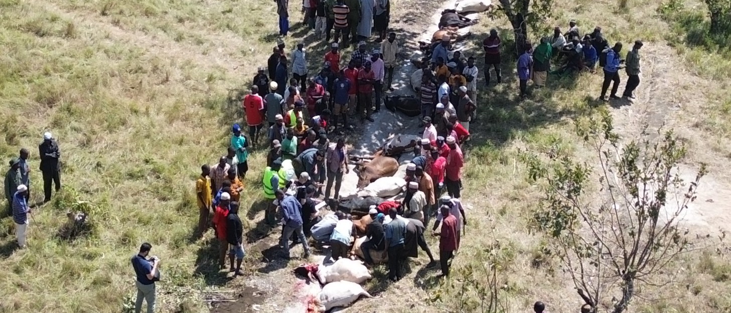 2025 Wajib Qurban Donation